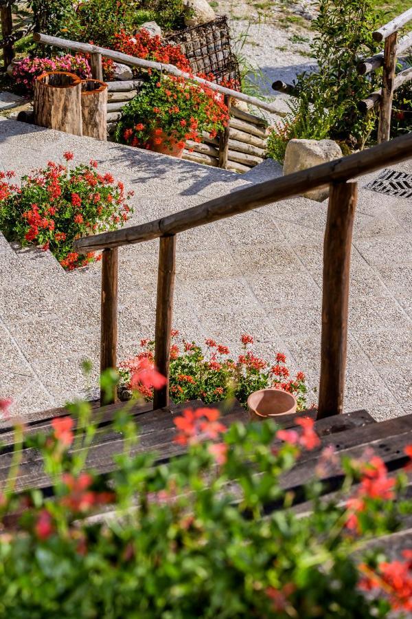 Montefortino B&B Apartments Casa Sullavalle מראה חיצוני תמונה